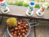 20120929_111830