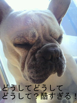 BlogPaint