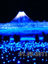8161658f.jpg