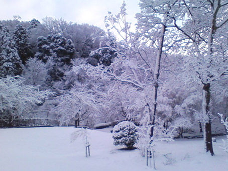 20120105082454