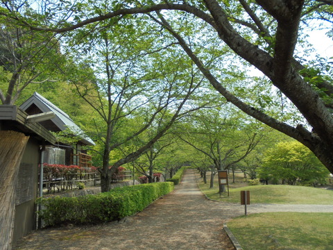 DSC00053
