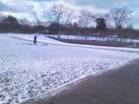 20120112081818