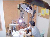 豚インプラント埋入