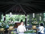 小泉