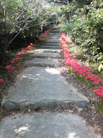 Oomura_001