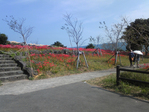 Oomura_004