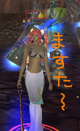 きれいな川辺