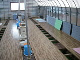 �狼�����ɡ�����20111210