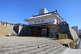 IMG_3842 (1024x682)