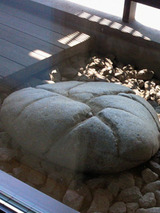 toyama006
