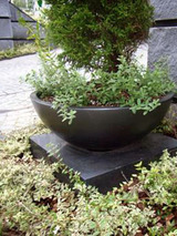 green92102.jpg