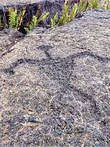 petroglyph02
