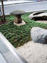 ishiniwa91403.jpg