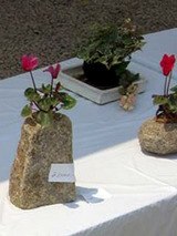 stpod52702.jpg