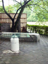 extoyama072904.jpg