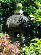 turou006