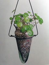 watergarden003