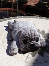 pug003