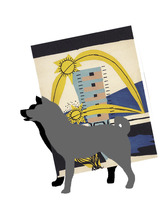 shiba003