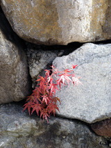 k_ishigaki003