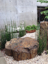 kumagai001