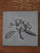 kagebori05.jpg