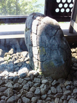 toyama007