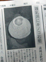 kinoko0717.jpg
