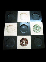 stsara102201.jpg