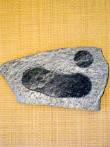 ishizara01.jpg