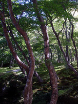 kyoukoku92702.jpg
