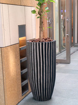 ueki001