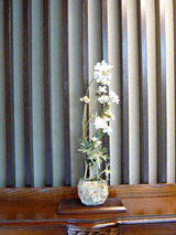 ishikaki91801.jpg
