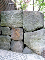 siro41503.jpg