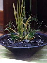 watergarden002