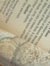 nyum020902.jpg