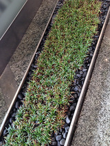 green001