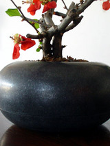 ishihachi14.jpg