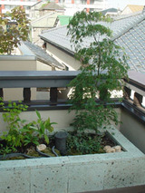 kadan62505.jpg