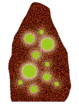 treelight02.jpg