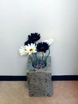 ishikaki91805.jpg