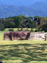 kyoseki003