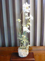 ishikaki91802.jpg