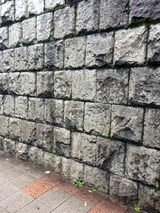 kinjo02