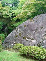 kyoseki92402.jpg