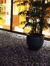 style82803.jpg