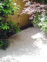 garden1.jpg