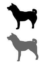 shiba001