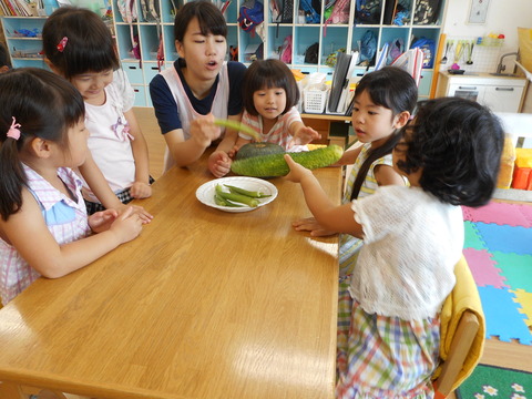 DSCN5584