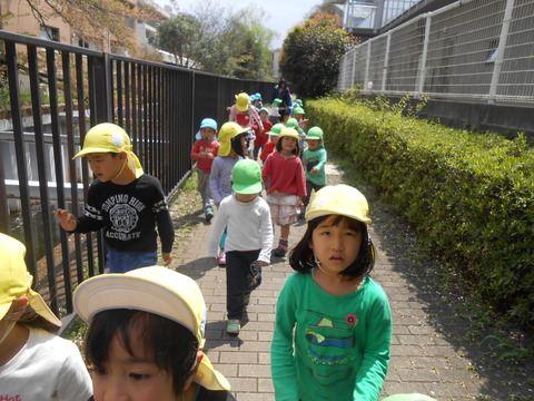 DSCN7871